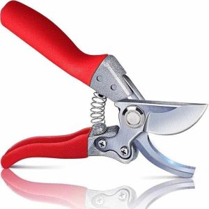 Garden Pruning Shears, Ergonomic Handle, Blue and Red, Professional Gardening Tool