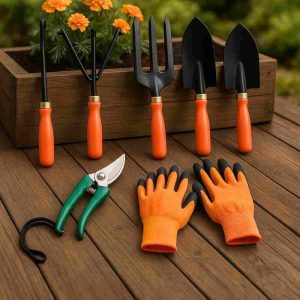 Home Garden Tool Set, 5 Pieces with Orange and Black Working Gloves, Wooden Handles, Assorted Seed Set, for Home Gardening